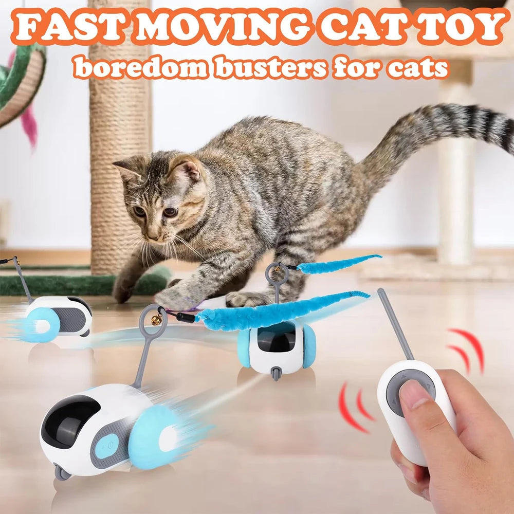 ZoomCar™ Viral pet toy