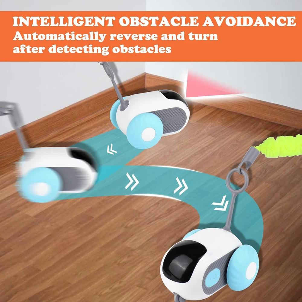 ZoomCar™ Viral pet toy