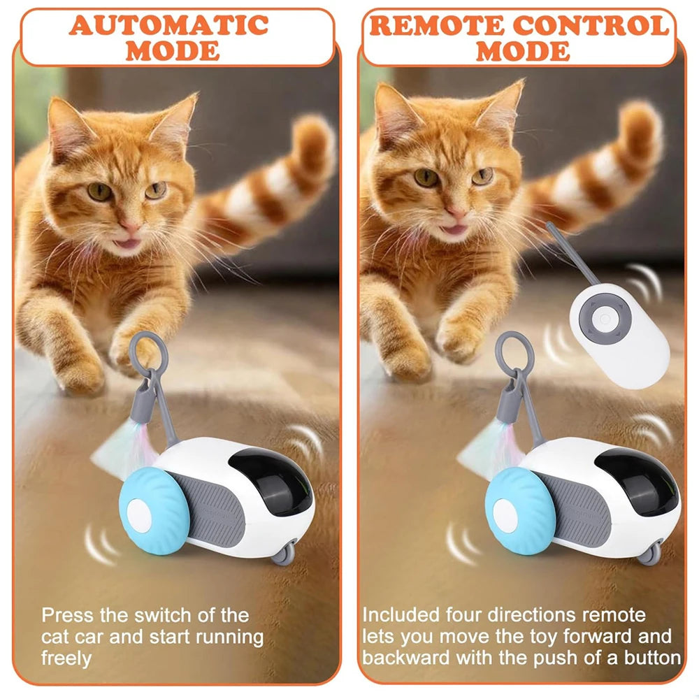 ZoomCar™ Viral pet toy
