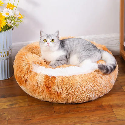 Cozy Cave™ Anti-Anxiety Pet Bed