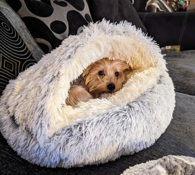 "Transform Stress into Serenity for Your Pet"