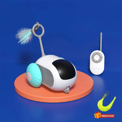 ZoomCar™ Viral pet toy