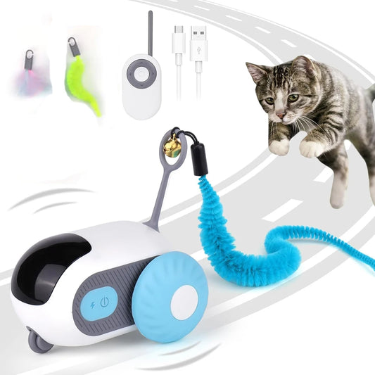 ZoomCar™ Viral pet toy